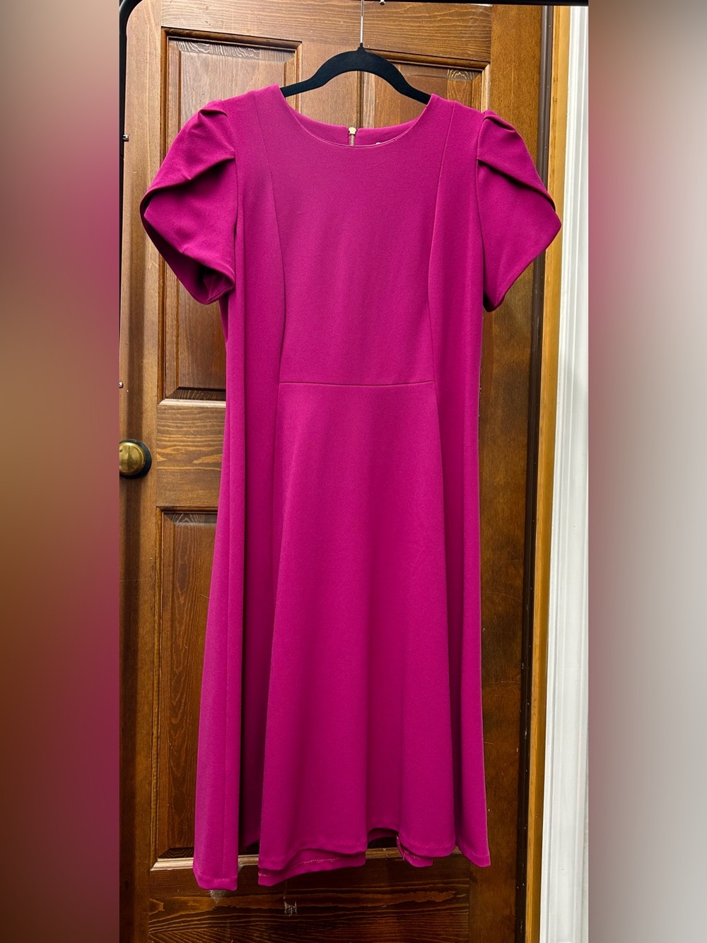 Calvin Klein Fuchsia Short Sleeve Dress